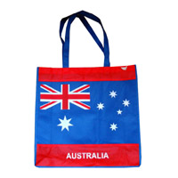 宁河KB50广告无纺布袋